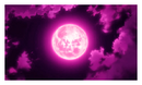 moon moon