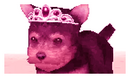 nintendogs' queen